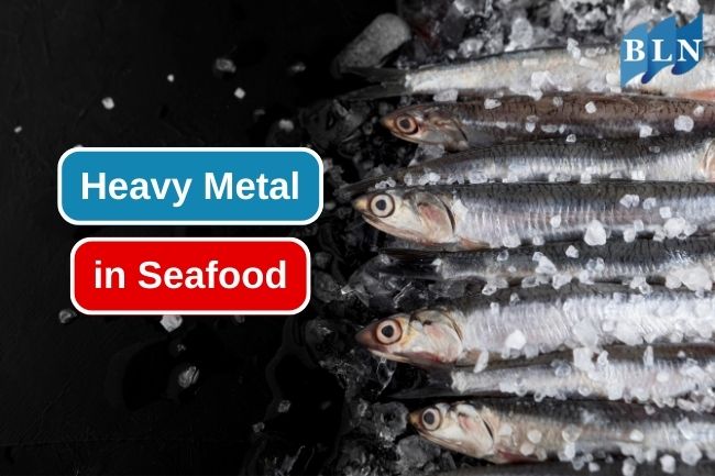 6 Types of Heavy Metals Found in Seafood